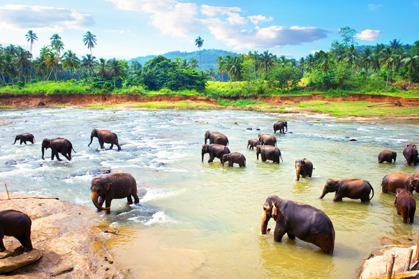 Sri Lanka